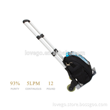 Lovego mini portable oxygen concentrator
